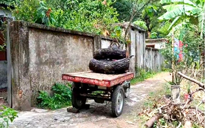 চুয়াডাঙ্গায় গণপূর্ত অফিসের গাছ কাটায় চার কর্মচারীকে শোকজ
