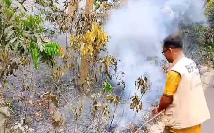 সাতছড়ি জাতীয় উদ্যানে আবারও আগুন