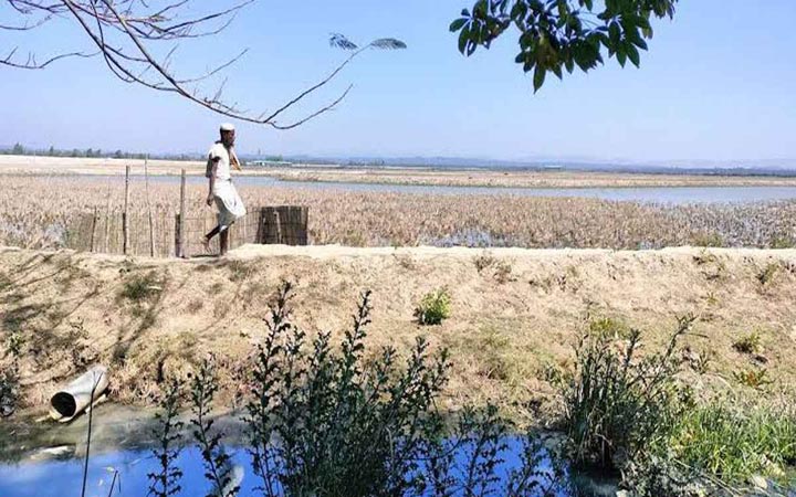 টেকনাফ সীমান্তে আবারও গুলির শব্দ