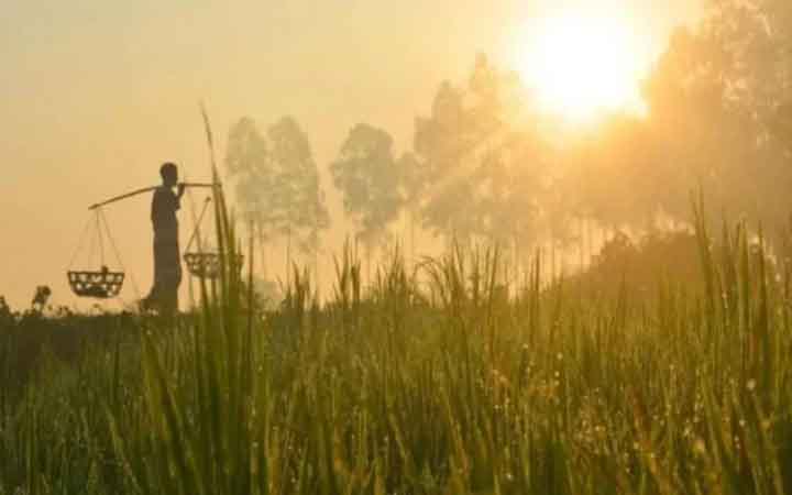 হেমন্ত এলো ধূসর বিবর্ণে, হিমেল হাওয়ায়