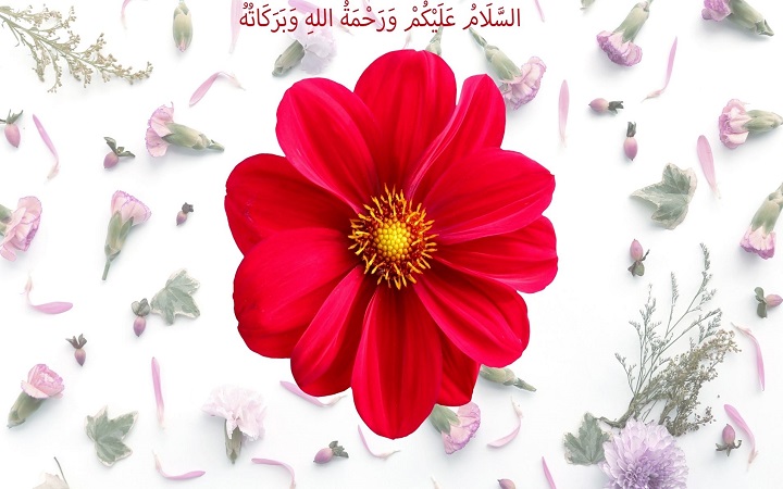 সালামের নেকি কত?