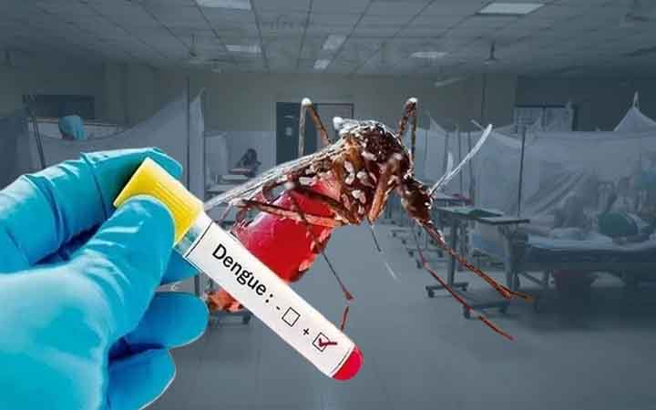 এক বছরের ব্যবধানে মৃত্যু ২৪ শতাংশ বেশি