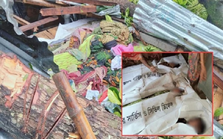 জামালপুরে কালবৈশাখী ঝড়ে গাছ পড়ে মা ও দুই মেয়ের মৃত্যু