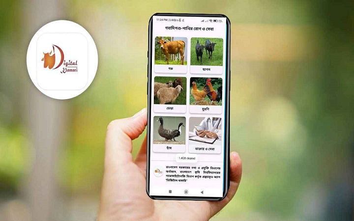 অ্যাপেই প্রাণীর চিকিৎসা: খামারির হাতে প্রযুক্তির শক্তি