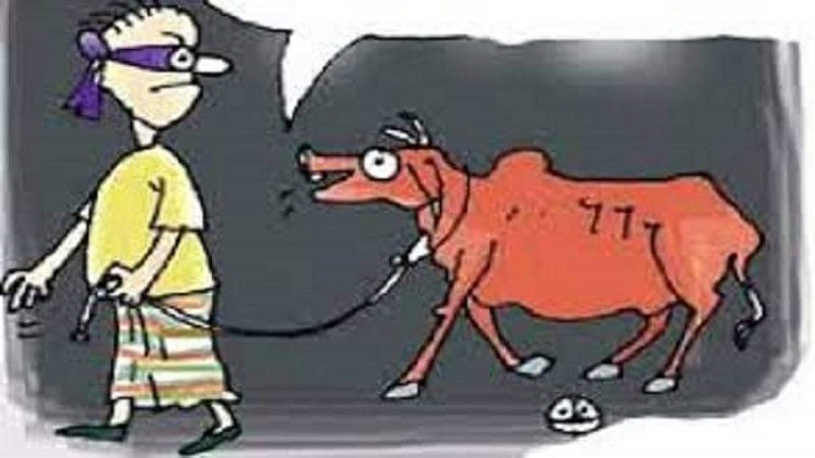 যুবককে কুপিয়ে কোরবানির গরু ছিনতাই