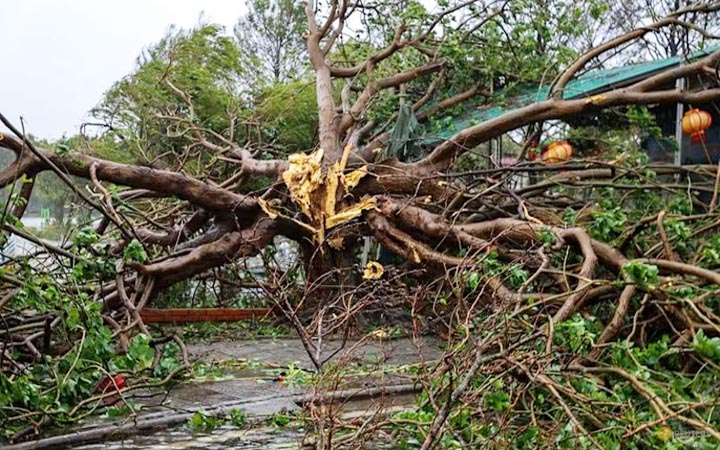 টাইফুন বুয়ালোই : ভিয়েতনামে নিহত ১৯, নিখোঁজ ২১