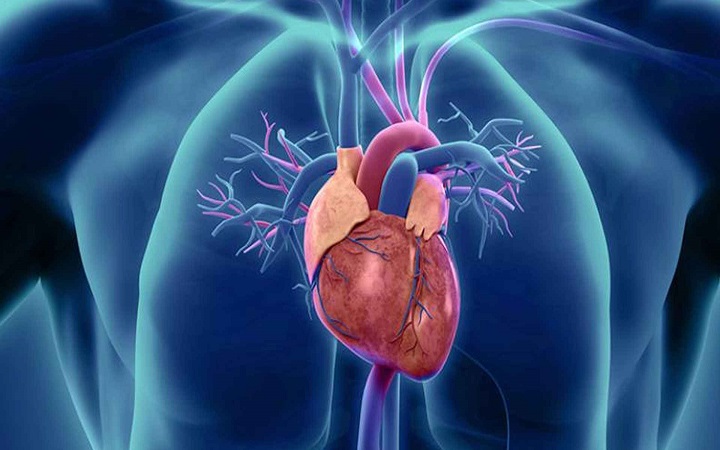 হার্ট ব্লকেজের এসব লক্ষণ এড়িয়ে যাচ্ছেন না তো?