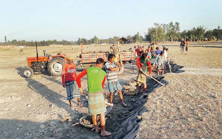 ফসলি প্রাণমাটি লুট