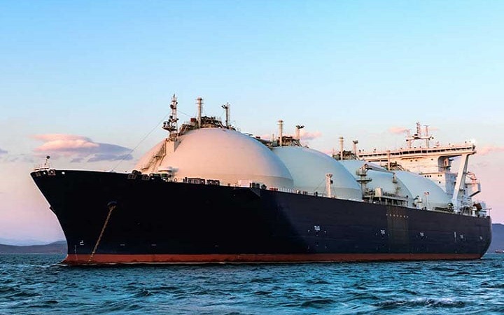 ভারত থেকে এলো ১১৬ টন গম