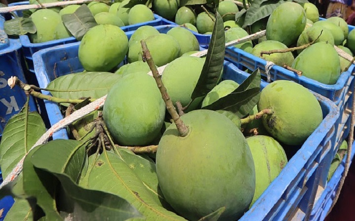 আমের পুষ্টিগুণ ও সহজে সংরক্ষণের উপায়