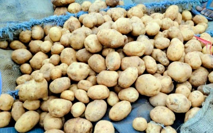 হিলি স্থলবন্দর দিয়ে এলো ভারতীয় নতুন আলু