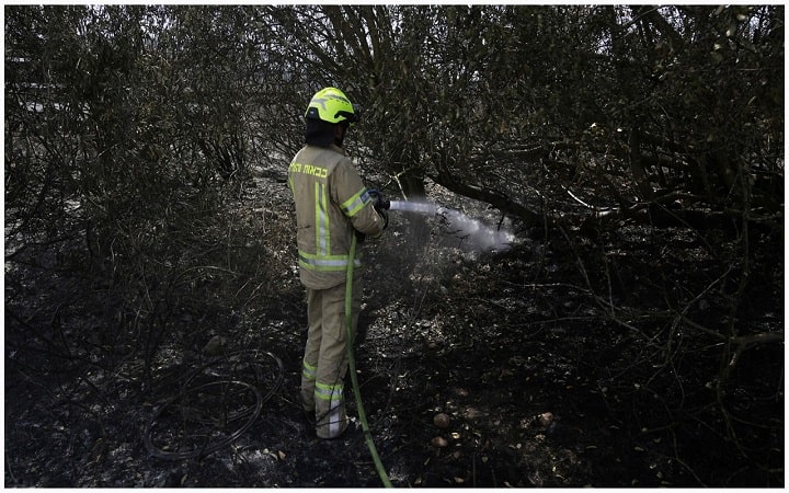 ইসরায়েলে ফের দাবানল, নিয়ন্ত্রণের চেষ্টা