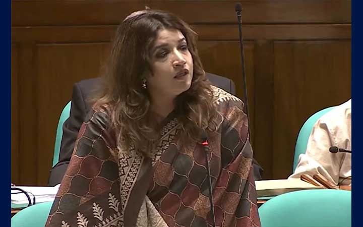 ফেসবুকে স্ট্যাটাস দিয়ে ভাইরাল হয়ে রাজনীতি হয় না : সংসদে পররাষ্ট্র প্রতিমন্ত্রী