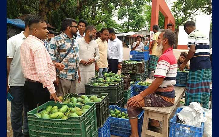 নাক ফজলি: ৫ কোটি টাকার বাণিজ্যের সম্ভাবনা, বাজার না থাকায় শঙ্কা
