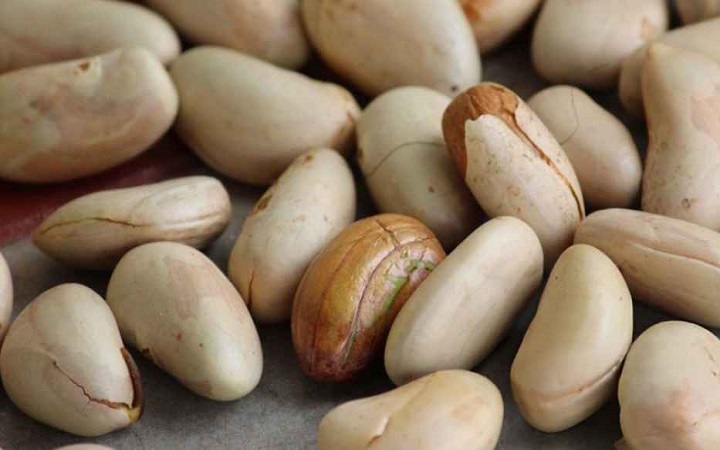কাঁঠালের বিচির ক্ষতিকর দিক জানেন কি?