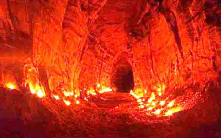 জাহান্নামের অভিশপ্ত বৃক্ষ জাক্কুম: এক ফলেই কুপোকাত