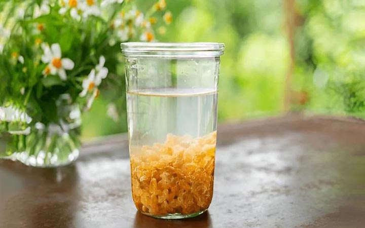 সকালে কিশমিশ ভেজানো পানি কেন খাবেন