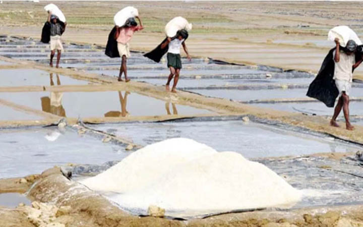লবণ উৎপাদনে ৬২ বছরের রেকর্ড ভেঙেছে