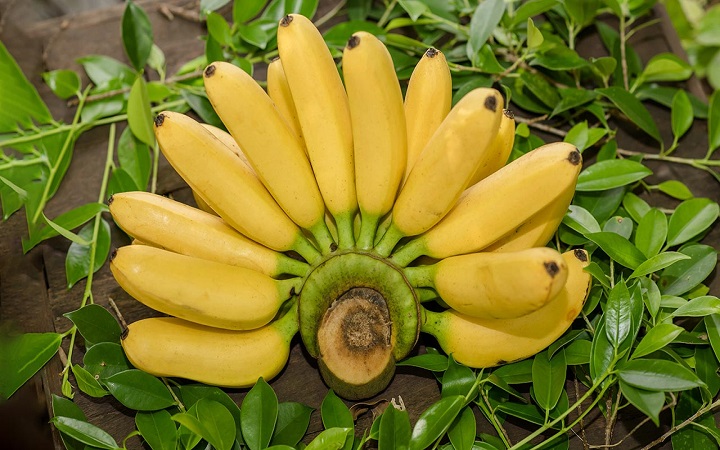 প্রতিদিন কতগুলো কলা খাওয়া যাবে?