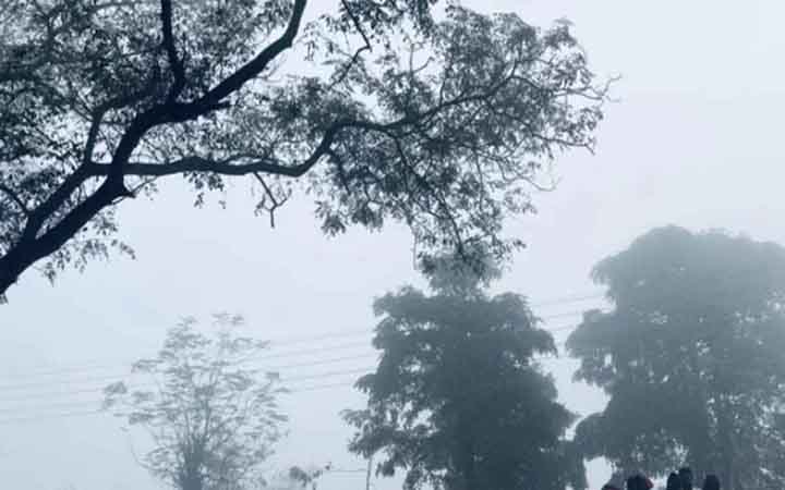 কুড়িগ্রামের তাপমাত্রা নামল ১২ ডিগ্রিতে