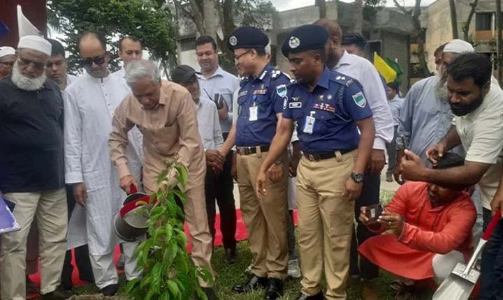 মাগুরায় ১০ হাজার গাছের চারা রোপণ কর্মসূচির উদ্বোধন করলেন সংস্কৃতি মন্ত্রী