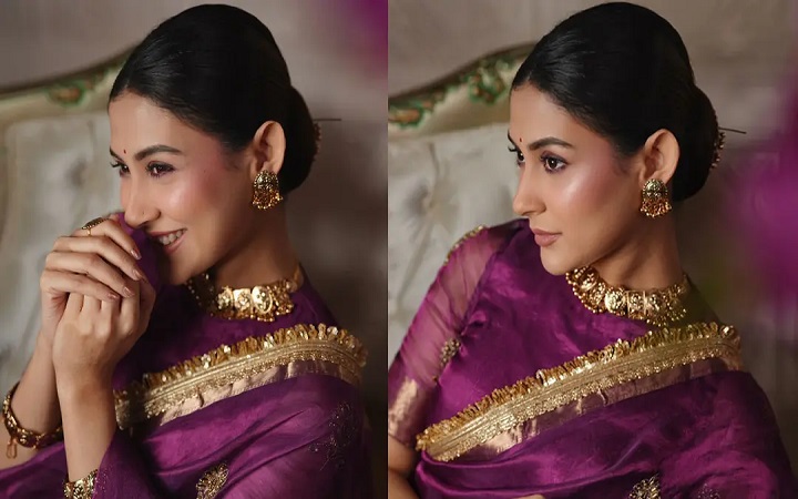 বেগুনি শাড়িতে মেহজাবীনের রাজকীয় সাজর