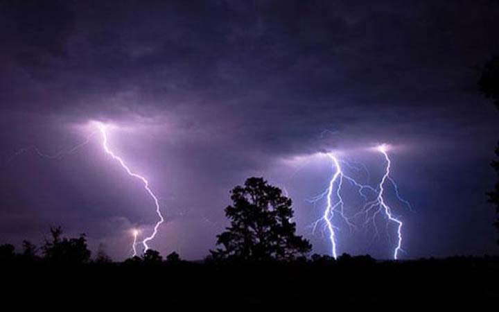 নেত্রকোনায় বজ্রপাতে ৮ জন নিহত