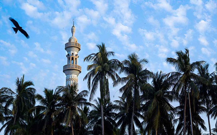 শেষ যুগে যেভাবে চলতে বলেছেন নবীজি