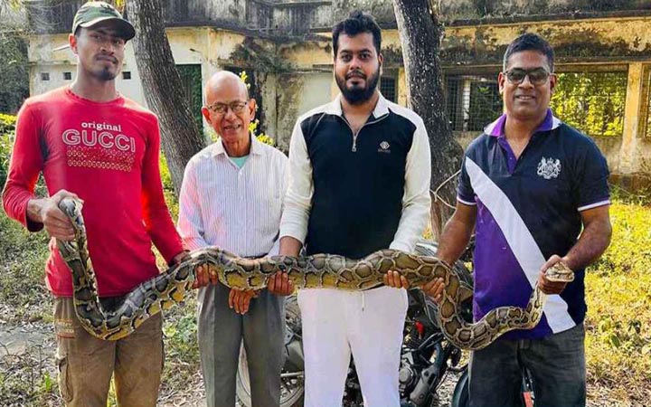 মৌলভীবাজারে ফের ১২ ফুট লম্বা অজগর উদ্ধার