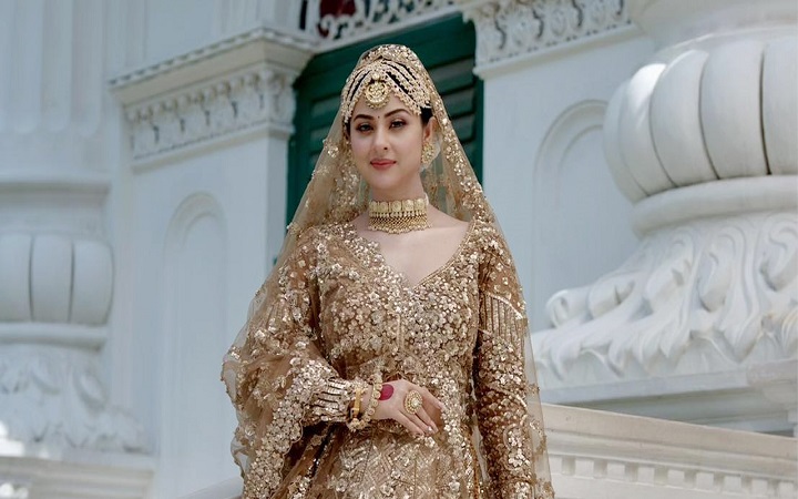 রানির বেশে নজর কাড়লেন বুবলী