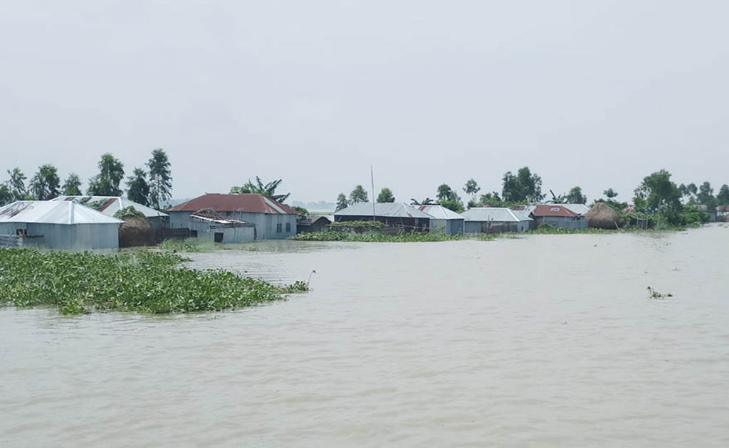 দেশের বন্য পরিস্থিতি, মৃত্যু ৮