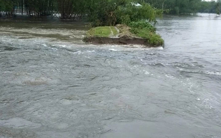 ডিমলায় বুড়িতিস্তা নদীর বাঁধ ভেঙে প্রায় ১০টি গ্রাম প্লাবিত