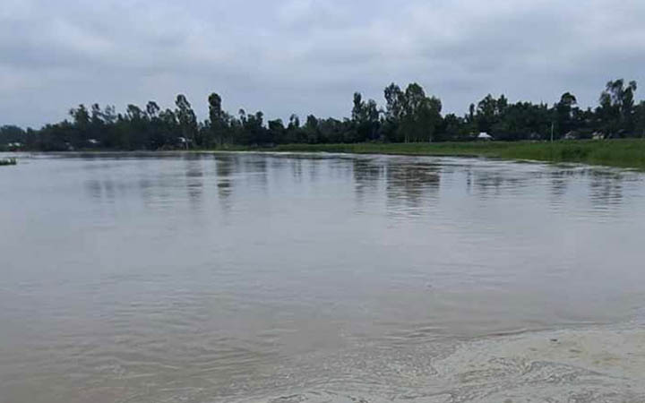 লালমনিরহাটে বেড়েছে নদ-নদীর পানি, নিম্নাঞ্চল প্লাবিত