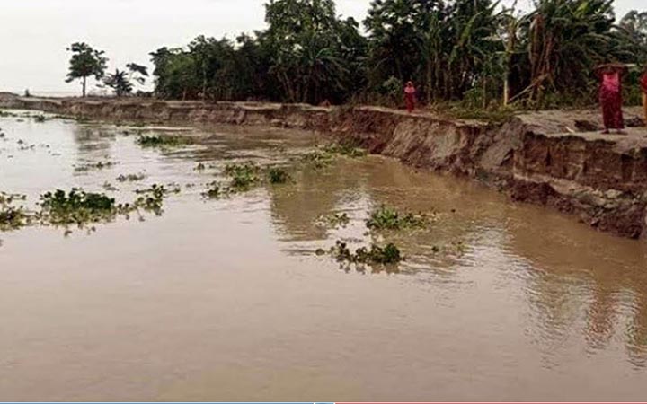 বাড়ছে যমুনার পানি, ভাঙনের ঝুঁকিতে বন্যা নিয়ন্ত্রণ বাঁধ