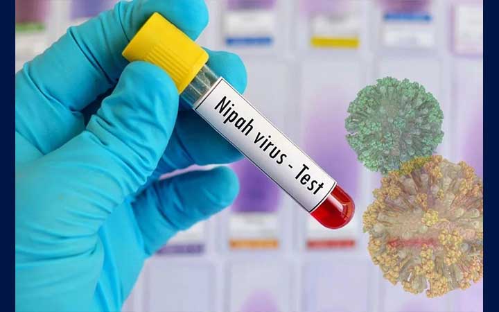 নিপা ভাইরাসে দেশে এ বছরের ‘প্রথম মৃত্যু’