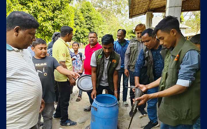 কুষ্টিয়ায় ইউটিউব ভিলেজ থেকে মহাবিপন্ন ঘড়িয়াল ও কাছিম উদ্ধার