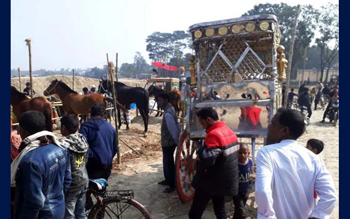 দিনাজপুরে জমজমাট ঘোড়ার হাট
