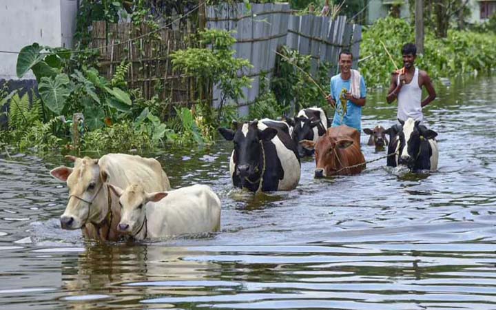 বাড়ছে নদ-নদীর পানি, উজানের ঢলে বন্যার শঙ্কা