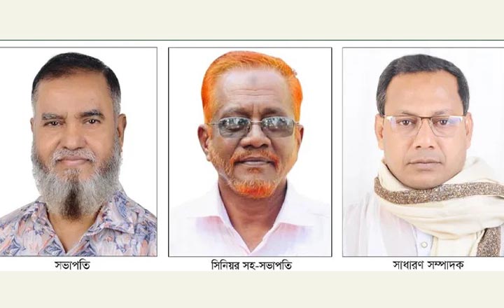 নোয়াখালী সাংবাদিক ইউনিয়নের সভাপতি আপেল, সম্পাদক বাবু