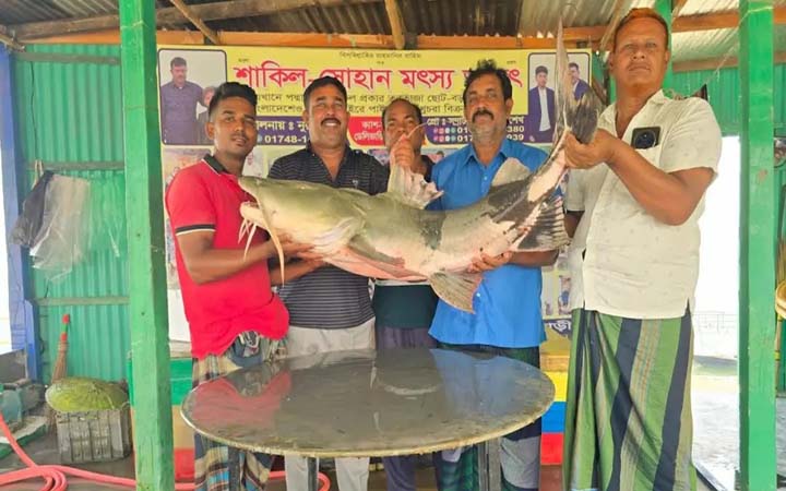 গোয়ালন্দে ২৬ কেজির বাঘাড় বিক্রি হলো ৫৭ হাজার টাকায়