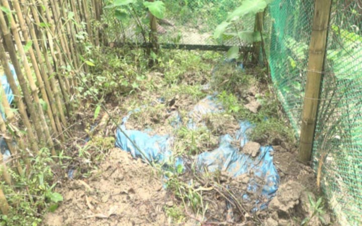 সিরাজগঞ্জে কবরস্থান থেকে ৭ কঙ্কাল উধাও