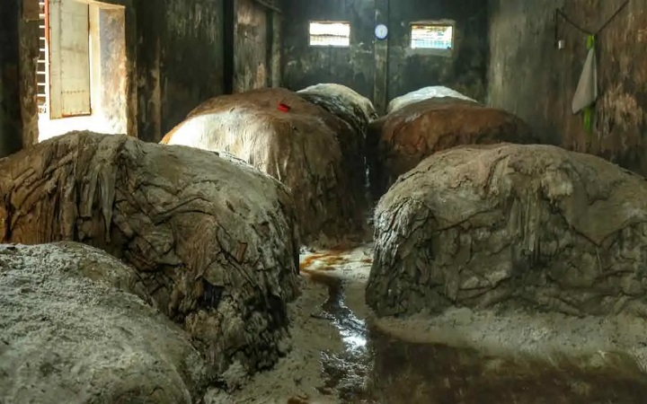 দুই হাজার টাকার চামড়া বিক্রি হচ্ছে ৫০০ টাকায়