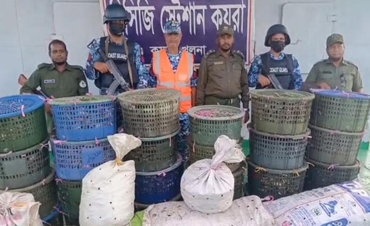 সুন্দরবনে অভিযান, আড়াই লাখ টাকার কাঁকড়া জব্দ