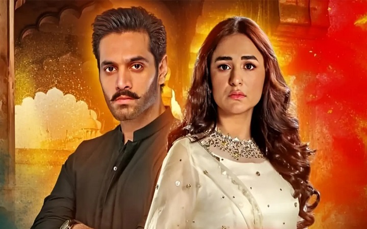 ওয়াহাজ-ইয়ুমনার ‘তেরে বিন ২’ নিয়ে যা জানা গেল