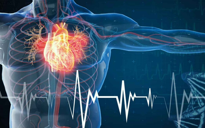 কোন ভিটামিনের অভাবে হার্ট অ্যাটাক হতে পারে?