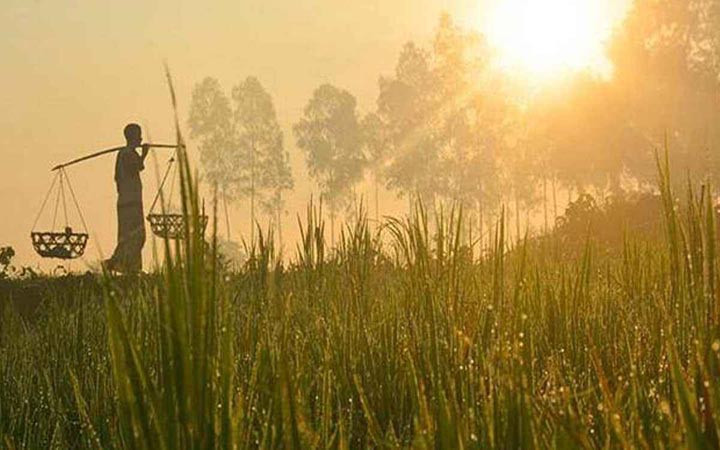 শৈত্যপ্রবাহ ও তাপমাত্রা নিয়ে নতুন বার্তা