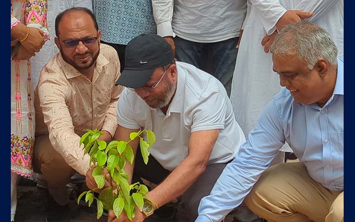 ৫ বছরে সারাদেশে ২৫ কোটি গাছের চারা রোপণ করা হবে : পরিবেশ প্রতিমন্ত্রী