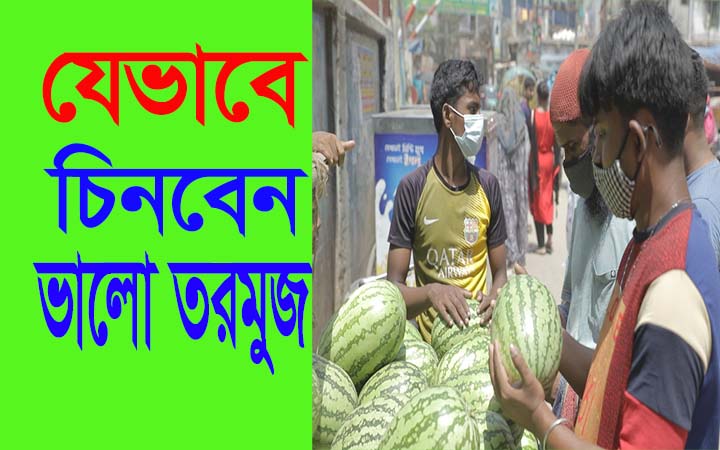 যেভাবে চিনবেন ভাল তরমুজ।। তরমুজ কেনার আগেই জেনে নিন।।