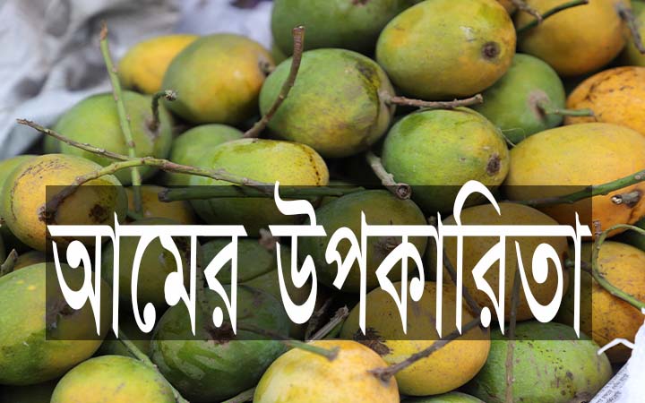 আমের উপকারিতা।। নিউজজোন বিডি