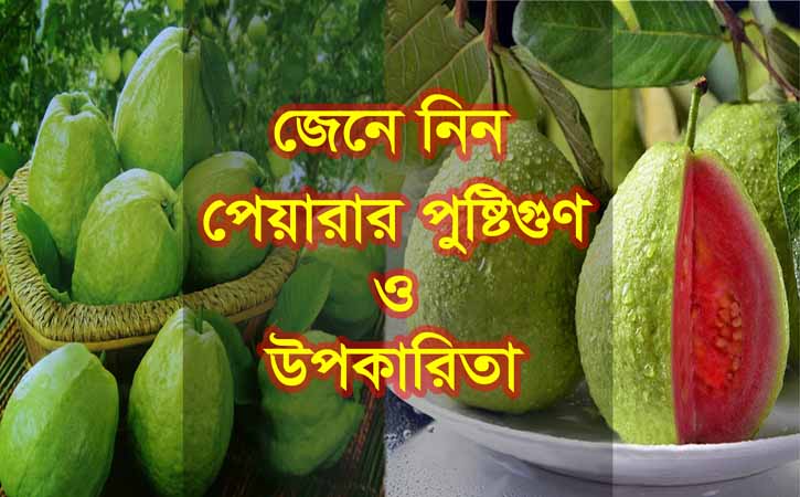 পেয়ারার পুষ্টি গুণ